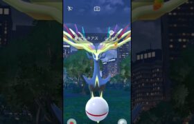 【ポケモンGO】ピョンピョンゼルネアス【Z−A楽しみ】 #ポケモンgo   #ポケモン  #pokemongo  #ゼルネアス