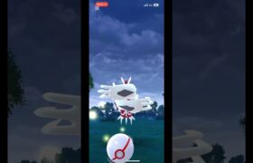 ［ポケモンGO］色違いのイベルタル現る！？cp低め？？？#ポケモンGO#pokemongo