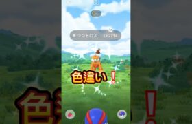 ポケモンGOの補填タイチャレ空けていく～#ポケモンgo #伝説 #色違い #ポケモン