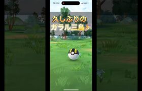 （ポケモンGO）久しぶりにガラル三鳥が来た！#ポケモンgo #pokmongo #shorts