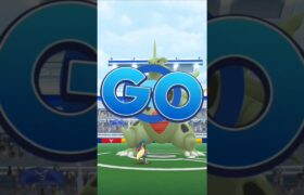 【修正版】メガルカリオでメガバンギラスソロ討伐！　ポケモンGOレイド　#pokemon  #pokmongo #shorts