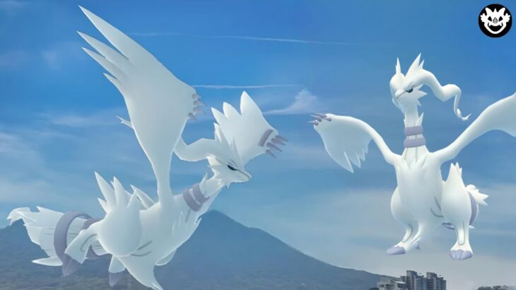 Reshiram Raid Invite Pokemon GO