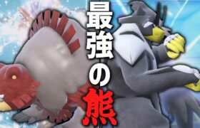 ポケモン界における最強の熊たち。【ゆっくり実況】【ポケモンSV】