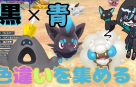 【ポケモンSV】ただいま！雑談しながら黒×青の色違いスナバァ探すぞ！