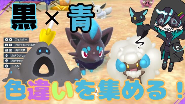 【ポケモンSV】ただいま！雑談しながら黒×青の色違いスナバァ探すぞ！