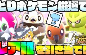 【色証】とりポケモン大量発生で雰囲気証狙えますか!?【ポケモンSV】【ゆっくり実況】