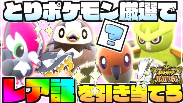 【色証】とりポケモン大量発生で雰囲気証狙えますか!?【ポケモンSV】【ゆっくり実況】