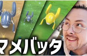 マメバッタ！！色違い！XXL&XXS狙いまくれ！ミニマイティイベント開始！【ポケモンGO】