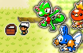 You’ve Never Seen Pokémon Emerald Like This