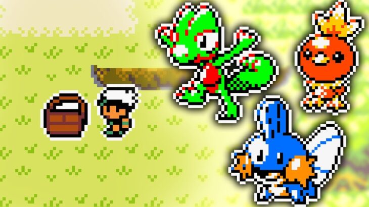 You’ve Never Seen Pokémon Emerald Like This