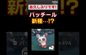 【パッチール！もしや新種？】久々にゲットしました #ポケモンgo #ポケモン #パッチール