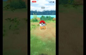 ちっちゃいパラス　#ポケモンgo