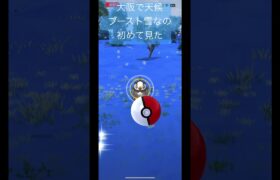 大阪で天候ブースト雪なの初めて見た#ポケモンgo