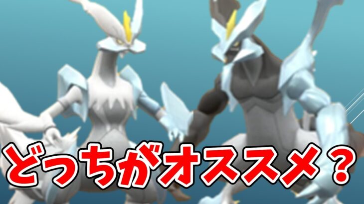 ホワイトキュレム、ブラックキュレムはどちらがおすすめ？ #ポケモンgo