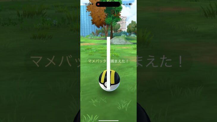 【ポケモンgo】マメバッタ色違いゲット&進化！！