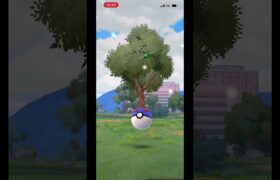 【ポケモンgo】　色違いのカブルモを捕獲！ #ポケモンgo