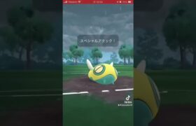 カラマネロ出番なし！#ポケモンgo #ポケモン #ポケモンgo好きと繋がりたい #ポケgo #gbl