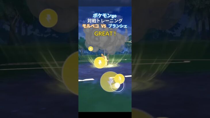 ポケモンgo 対戦トレーニング モルペコ 設定間違えmusicなし