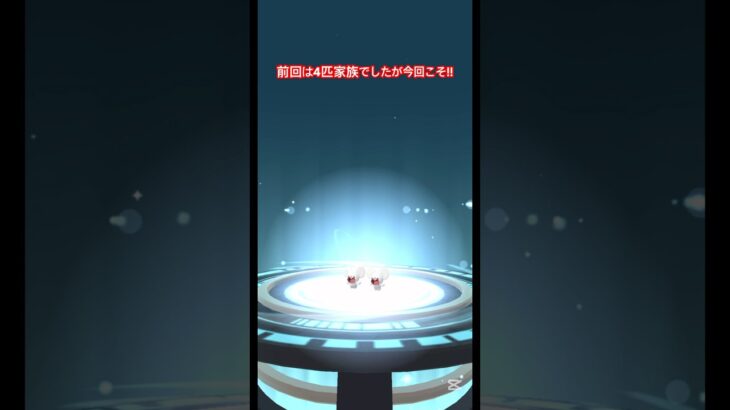 【リベンジ】ワッカネズミ家族ガチャに再挑戦!#ポケモンgo #pokemongo #ポケモン