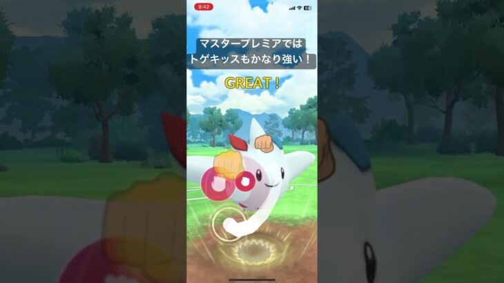 マスタープレミアではトゲキッスもかなり強い！【#ポケモン #ポケモンgo #pokemongo #goバトルリーグ】