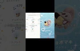 チョボマキとカブルモコミュデイお疲れ様でした#ポケモンgo#ポケモンgoまだやってます#ポケモンgo好きと繋がりたい#ポケモン好きな人と繋がりたい#テンプレ