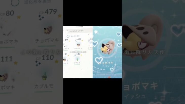 チョボマキとカブルモコミュデイお疲れ様でした#ポケモンgo#ポケモンgoまだやってます#ポケモンgo好きと繋がりたい#ポケモン好きな人と繋がりたい#テンプレ