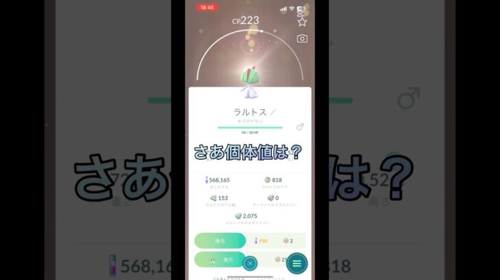 ポケモン交換　初心者part123 【ポケモンGO】#ポケモンgo #ポケモン #pokemon #pokemongo #ポケモン交換 #shorts