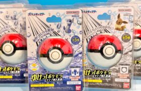 [検証] ポケモン　タイプ別入浴剤　かぶらないでゲットできるか？！