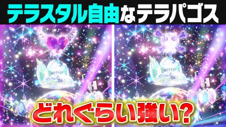 【復権できる？】もしもテラパゴスが好きなテラスタイプを選べたらどれぐらい強かったのか？