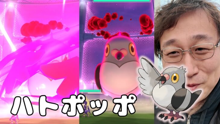 ハトポッポ！ということでマメパト狩ってきましたw【ポケモンGO】