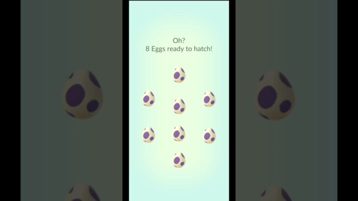 10 KM Egg hatching pokemongo #ポケモンgo #pokemongo #pokemon #shinypokemon #egg #hundopokemon #shiny