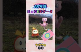 ホゲータとミュウ♪AR写真【ポケモンGO】