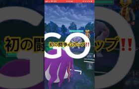 闘争心カップやってみた【ポケモンGO】