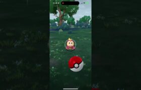 【ポケモンGO】ホゲータ【色違い】