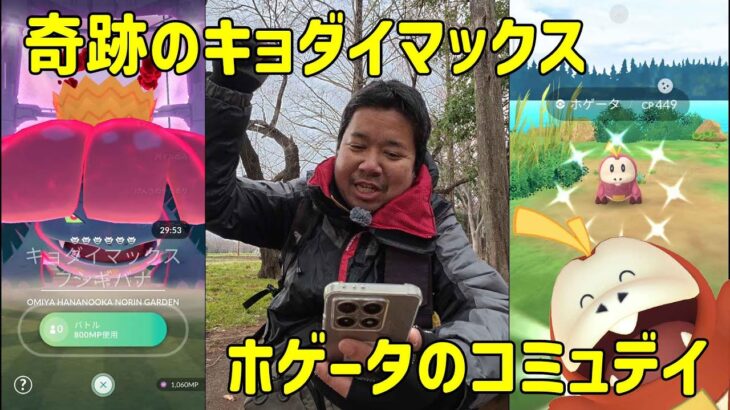 【ポケモンGO】奇跡のキョダイマックスからのホゲータのコミュニデイ