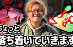 これ、やらなくて大丈夫なやつです!【ポケモンGO】