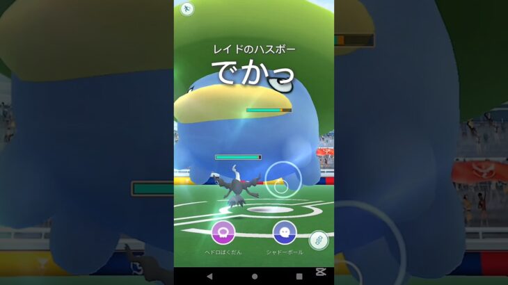 【ポケモンGO】ハスボーでかっ