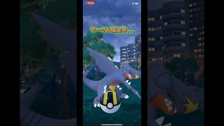 野生のガブリアス？！#ポケモンGO#ガブリアス#ポケポケ#フカマル