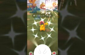 コスチューム色違いピカチュウだーーー！！！＃ポケモンGO＃ピカチュウ＃色違い