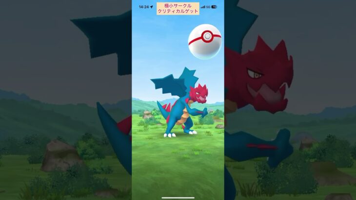 【難易度低】クリムガン極小サークルクリティカルゲット【ポケモンGO】