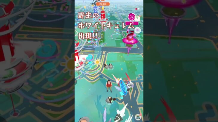 【ポケモンGO】野生のホワイトキュレム出現　合体を解くと足りないエナジー