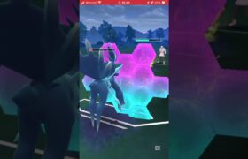 ポケモンGOバトルリーグ　マスターリーグ 899