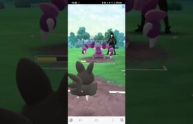 ポケモンGO 通常スーパーリーグ エモンガ、Sガラガラ、カメックス