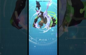 【ポケモンGO】色違いのブラックキュレムカッコ良すぎる😎 #ポケモン #ポケモンgo #キュレム