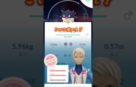 こいつ使う機会っていつだろう…？＃ポケモンGO＃卵＃100＃ハリーセン