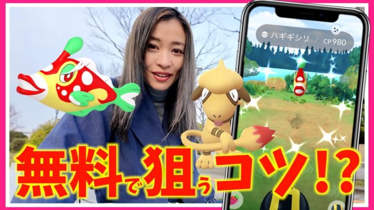 ポケモンGO、運営がスコープリーに！？無料で色違いハギギシリを狙うコツ！？カラーフェスティバル初日レポート！！【ポケモンGO】