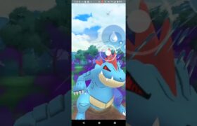 かけじくカップ【ポケモンGO】Sオーダイル、ルカリオ、ヌオー