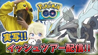 【ポケモンGO】色違いキュレム厳選配信！イッシュツアー配信！　#ポケモンgo #pokemon #shorts