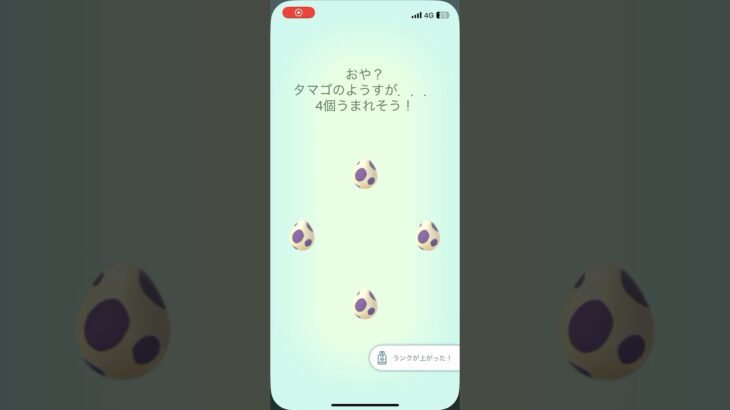 【ポケモンGO】ついに地域限定のあいつが！！#ポケモンgo #pokemongo #pokemon #ポケモン #pubgmobile #shorts #shortvideo