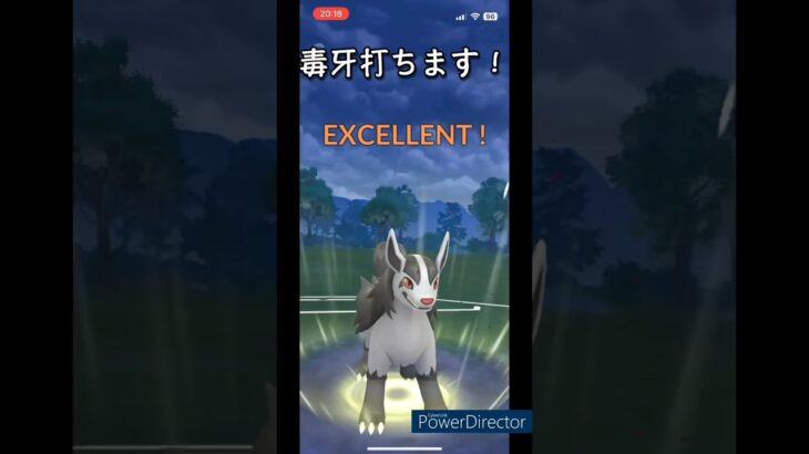 【ポケモンGO】新時代の毒悪悪！強化組が強すぎる！#pokemon #ポケモン #pubgmobile #pubg #pvp #gbl #shorts #shortvideo